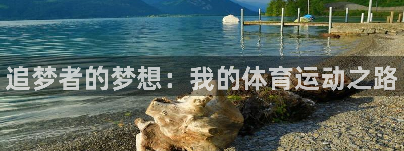 vsport体育官网下载平台APP:追梦者的梦想:我的体育运