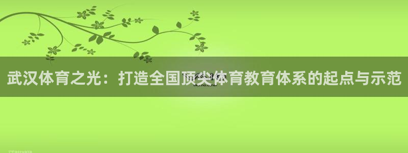 vsport体育官方平台体育:武汉体育之光:打造全国顶尖体育